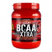 ActivLab BCAA XTRA (500 гр)